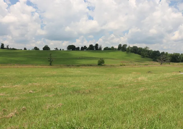 Photo 3 of Land for sale at 5 County Rd 461, Englewood, TN 37329 | MLS# 3244214 | Listing updated on 2026-08-13