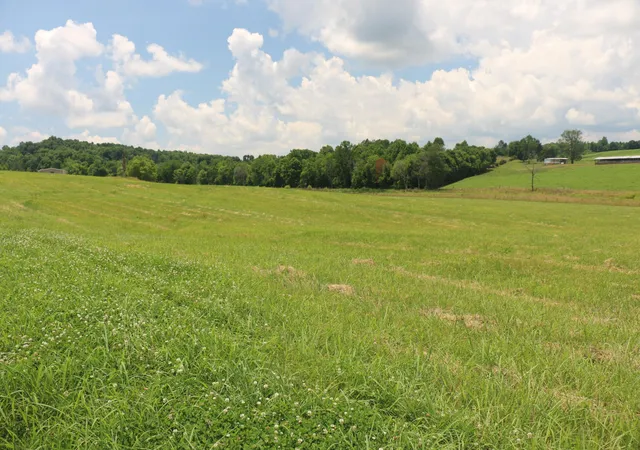Photo 4 of Land for sale at 5 County Rd 461, Englewood, TN 37329 | MLS# 3244214 | Listing updated on 2026-08-13