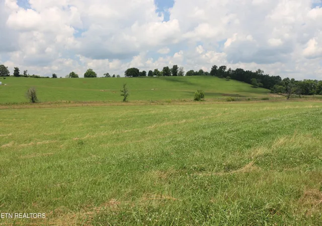 Photo 4 of Land for sale at 4 County Rd 461, Englewood, TN 37329 | MLS# 3244225 | Listing updated on 2026-06-17
