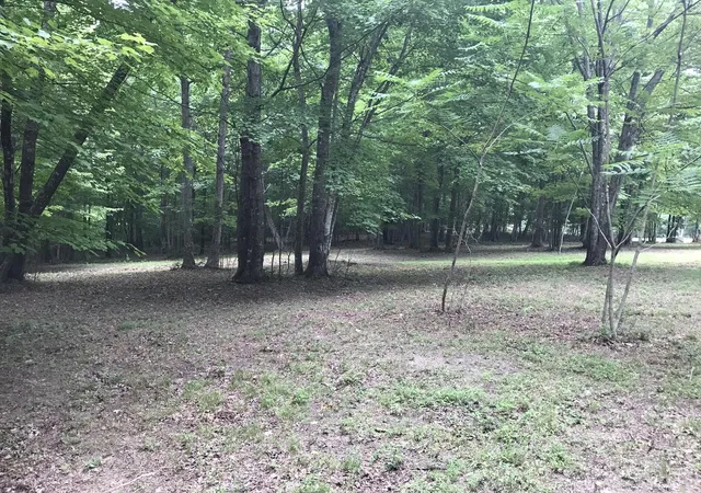 Homes for sale in Dunlap, TN | 503 Wilderness Way, Dunlap, TN 37327 | MLS# 3234314