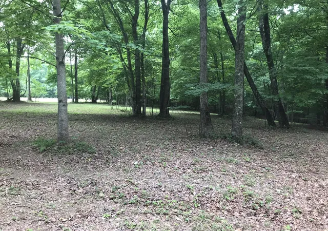 Homes for sale in Dunlap, TN | 503 Wilderness Way, Dunlap, TN 37327 | MLS# 3234314