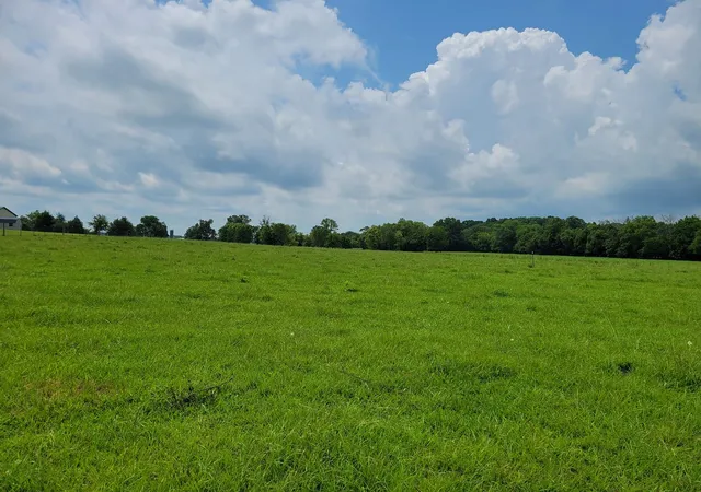 Homes for sale in Morrison, TN | 2 Shady Grove Rd, Morrison, TN 37357 | MLS# 3242172