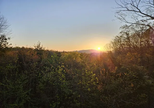 24th image of 189 Trails End Rdg, Ellijay, GA 30540 | MLS# 3234687