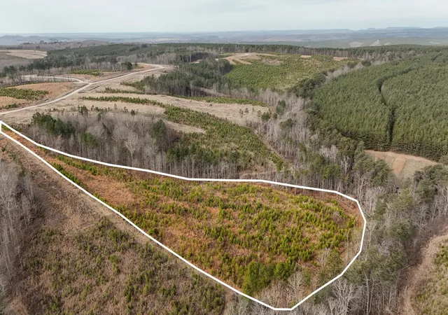 Homes for sale in Dunlap, TN | 0 State Rt 399 Lot 13, Dunlap, TN 37327 | MLS# 3234695