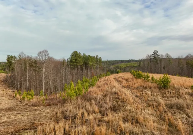 Homes for sale in Dunlap, TN | 0 State Rt 399 Lot 13, Dunlap, TN 37327 | MLS# 3234695