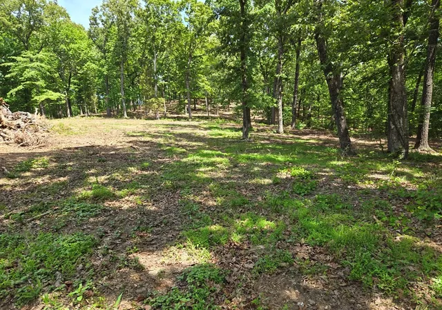 Homes for sale in Buchanan, TN | 730 Swan Bay Dr, Buchanan, TN 38222 | MLS# 3239566