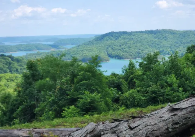 3rd image of 0 Rock Fish Rd E, Hilham, TN 38568 | MLS# 3234816