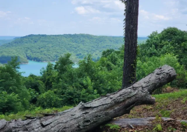 4th image of 0 Rock Fish Rd E, Hilham, TN 38568 | MLS# 3234816