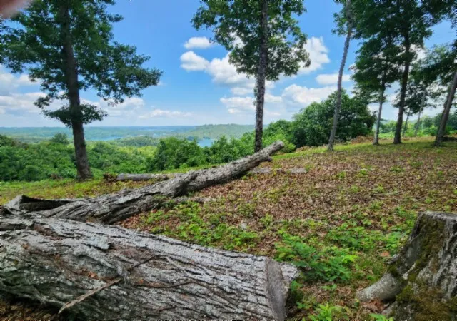 5th image of 0 Rock Fish Rd E, Hilham, TN 38568 | MLS# 3234816