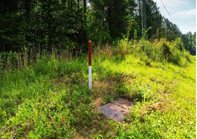 19th image of 3637 Lamontville Rd, Decatur, TN 37322 | MLS# 3239812
