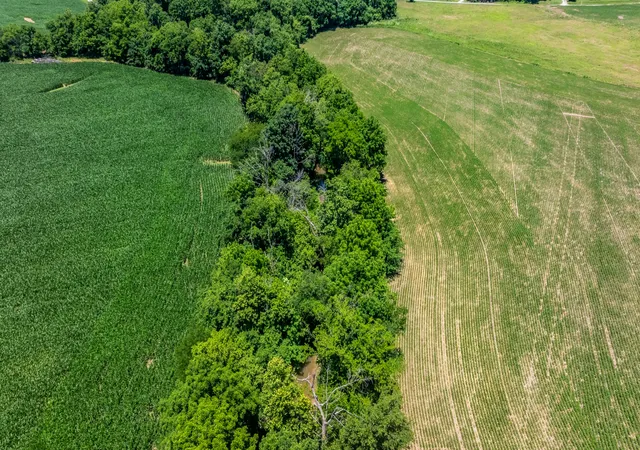 Homes for sale in Elkton, KY | 0 B White Rd, Elkton, KY 42220 | MLS# 3234903