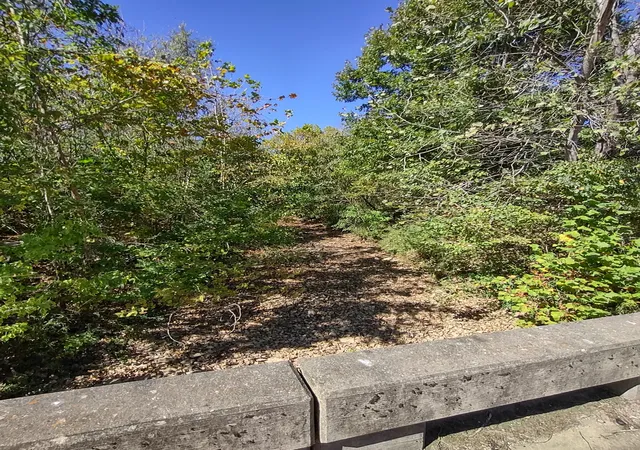 Photo 2 of Land for sale at 0 Bear Crk Pike, Columbia, TN 38401 | MLS# 3547095 | Listing updated on 2026-09-29