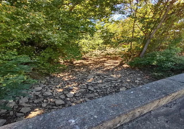 Photo 3 of Land for sale at 0 Bear Crk Pike, Columbia, TN 38401 | MLS# 3547095 | Listing updated on 2026-09-29