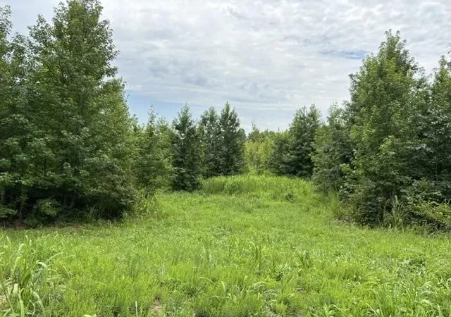 15th image of 0 Purdy Beauty Hill Rd, Bethel Springs, TN 38315 | MLS# 3239630