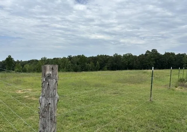 Photo 3 of Land for sale at 0 Purdy Beauty Hl Rd, Bethel Springs, TN 38315 | MLS# 3239630 | Listing updated on 2026-07-29