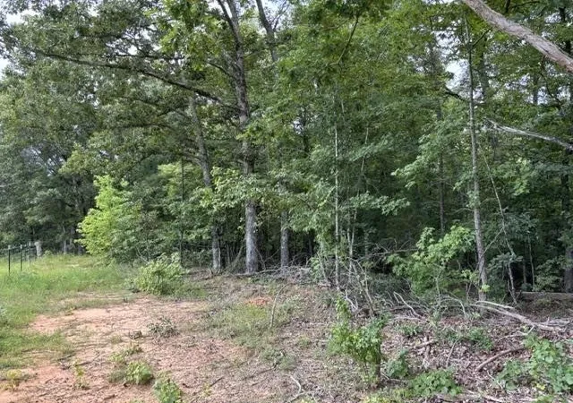 Photo 4 of Land for sale at 0 Purdy Beauty Hl Rd, Bethel Springs, TN 38315 | MLS# 3239630 | Listing updated on 2026-07-29