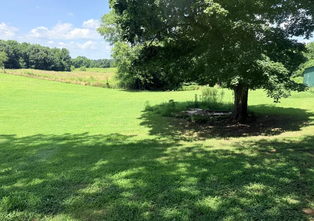 Homes for sale in Friendship, TN | 6719 Chestnut Bluff Maury C Rd, Friendship, TN 38034 | MLS# 3239699
