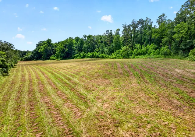 Homes for sale in Erin, TN | 0 Ellis Mills Rd, Erin, TN 37061 | MLS# 3239828