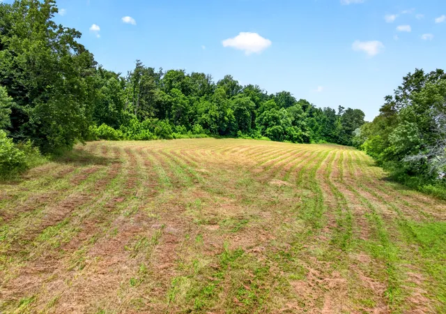 Homes for sale in Erin, TN | 0 Ellis Mills Rd, Erin, TN 37061 | MLS# 3239828