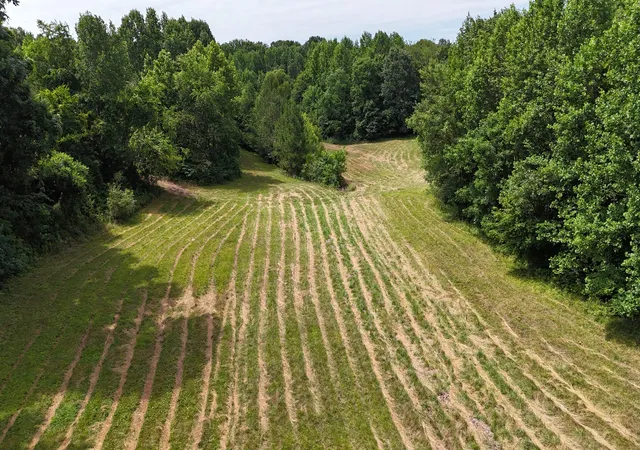 Homes for sale in Big Sandy, TN | 0 Sulphur Creek Road, Big Sandy, TN 38221 | MLS# 3239783