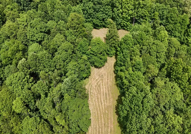 Homes for sale in Big Sandy, TN | 0 Sulphur Creek Road, Big Sandy, TN 38221 | MLS# 3239783