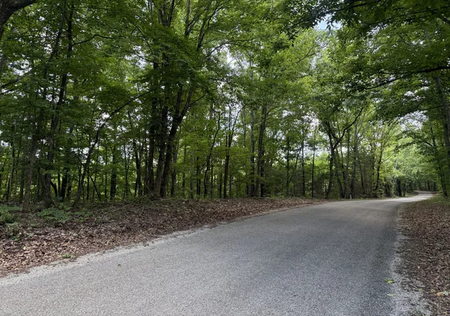 Homes for sale in Prospect, TN | 0 Jack Holt Rd, Prospect, TN 38477 | MLS# 3244526