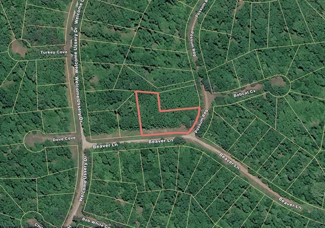 Homes for sale in Saulsbury, TN | 94 Beaver Ln, Saulsbury, TN 38067 | MLS# 3241956
