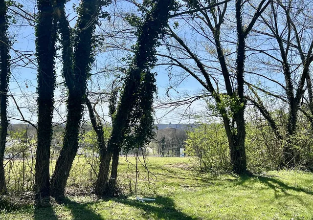 4th image of 0 Lewisburg Hwy, Pulaski, TN 38478 | MLS# 3241982