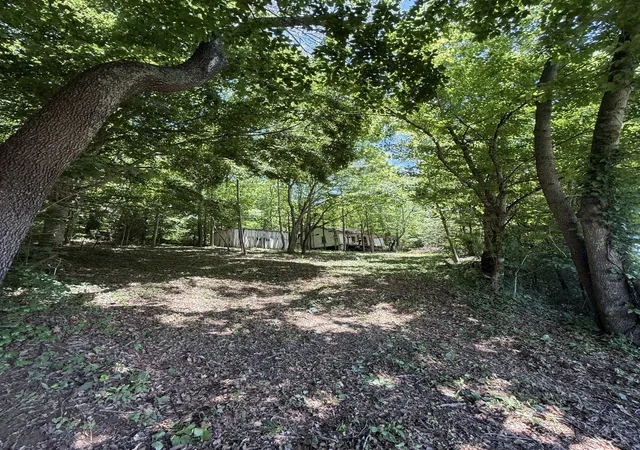 Homes for sale in Pulaski, TN | 3585 Indian Creek Rd, Pulaski, TN 38478 | MLS# 3244273