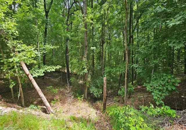 1st image of 555 Oak Leaf Lane, Dunlap, TN 37327 | MLS# 3241974