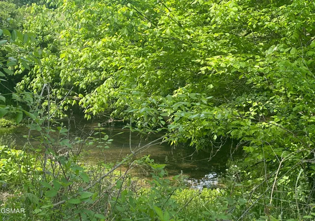 6th image of 252 Toppy Russell Lane, Speedwell, TN 37870 | MLS# 3278241