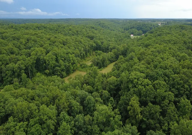 Homes for sale in Nunnelly, TN | 7075 Pinewood Rd, Nunnelly, TN 37137 | MLS# 3244486