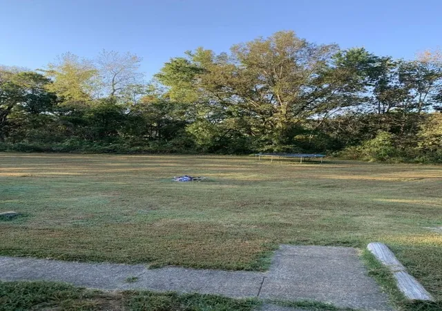 Homes for sale in Springfield, TN | 6479 Hwy 76 E, Springfield, TN 37172 | MLS# 3242124