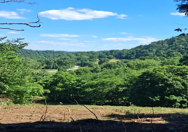 Homes for sale in Pleasant Shade, TN | 0 Little Creek Rd, Pleasant Shade, TN 37145 | MLS# 3242159