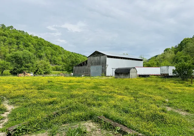 Homes for sale in Celina, TN | 1611 Knob Creek Rd, Celina, TN 38551 | MLS# 3242184