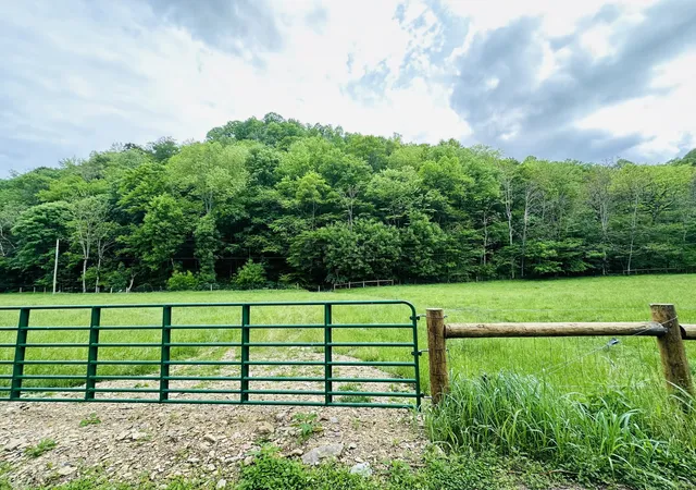 Homes for sale in Celina, TN | 1611 Knob Creek Rd, Celina, TN 38551 | MLS# 3242184
