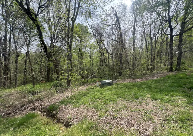4th image of 200 Lake Ridge Rd, Scottsville, KY 42164 | MLS# 3242245