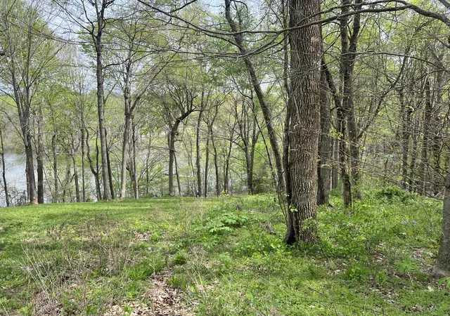 5th image of 200 Lake Ridge Rd, Scottsville, KY 42164 | MLS# 3242245