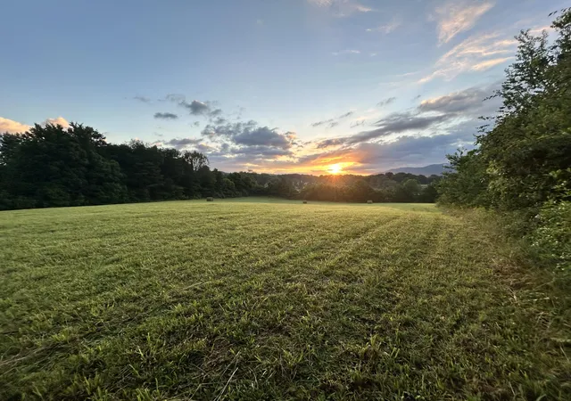 Homes for sale in Etowah, TN | 121 County Road 903, Etowah, TN 37331 | MLS# 3242378