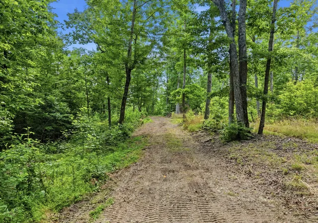 2nd image of 0 Backbone Road, Sparta, TN 38583 | MLS# 3242432