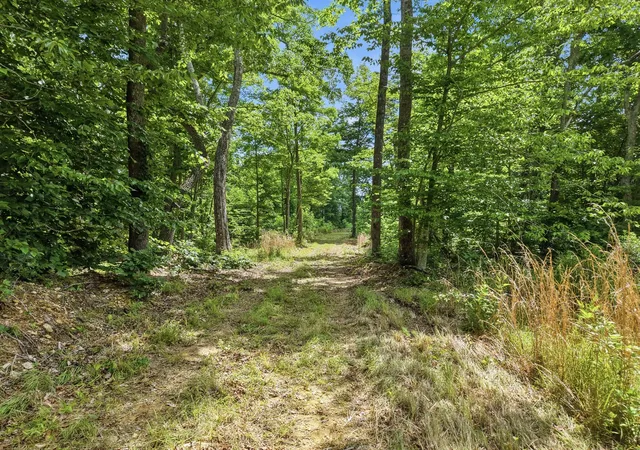3rd image of 0 Backbone Road, Sparta, TN 38583 | MLS# 3242432
