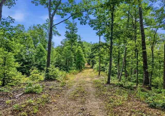 4th image of 0 Backbone Road, Sparta, TN 38583 | MLS# 3242432