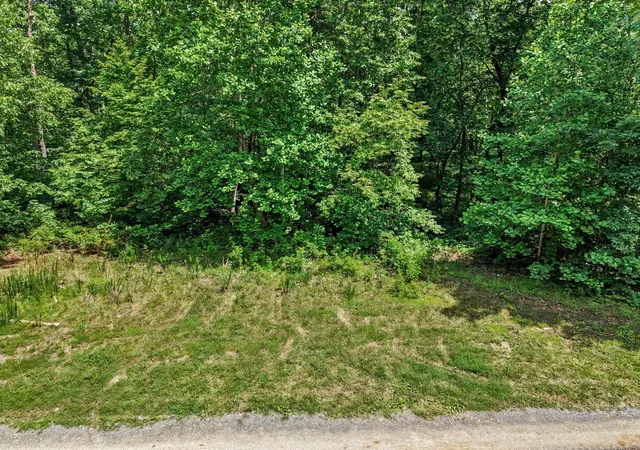 2nd image of 0 Anderson Rd, Pegram, TN 37143 | MLS# 3244743