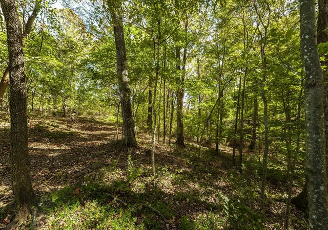 14th image of 0 Hwy 52e, Portland, TN 37148 | MLS# 3243572
