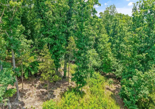 1st image of 1499 Dogwood Valley Rd, Kingston, TN 37763 | MLS# 3505960