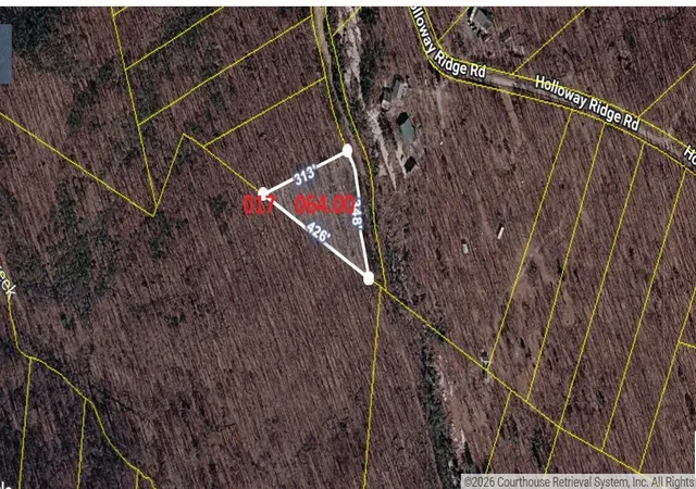 75th image of 1407 Holloway Ridge Road, Spring City, TN 37381 | MLS# 3304339