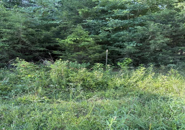 Photo 3 of Land for sale at 6 Saffles Ln, Madisonville, TN 37354 | MLS# 3242537 | Listing updated on 2026-08-13