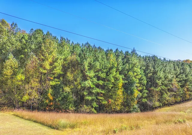 5th image of 49 Juniper Court, Spring City, TN 37381 | MLS# 3311437