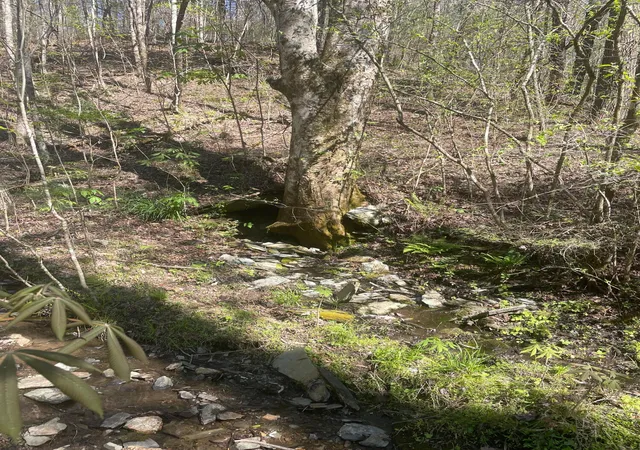 1st image of 1 Old Furnace Road, Tellico Plains, TN 37385 | MLS# 3242546