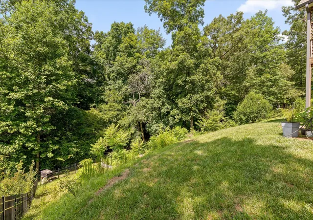 42nd image of 301 Sentry Oaks, Chickamauga, GA 30707 | MLS# 3338534
